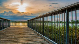 A wooden boardwalk with black metal railings extends over a lake at sunset, embodying an idyllic lifestyle. The sun is partially hidden behind clouds, casting a warm glow across the sky. Tall grasses grow along the water's edge, and the scene evokes a tranquil and serene atmosphere.