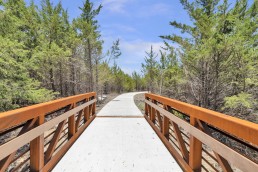 A concrete pathway leads to a bridge with brown wooden railings in a forested area. Tall green trees line both sides of the path under a blue sky with a few clouds, offering serene nature amenities.
